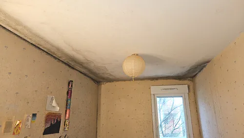 Détection Fuites Et Réseaux